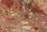 Polished Chert Breccia Slab - Western Australia #95440-1